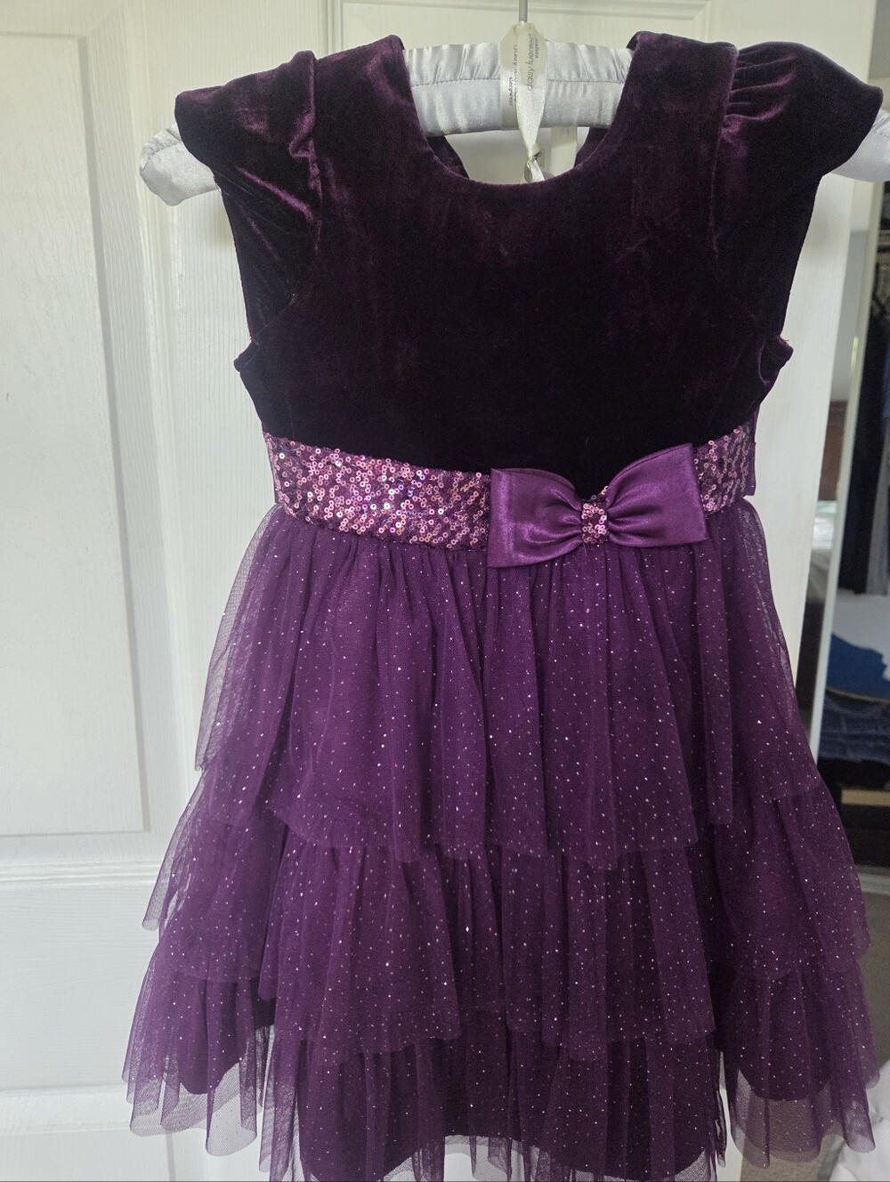 Jona Michelle Deep Purple Velvet & Tulle Sequin Waist Party Dress